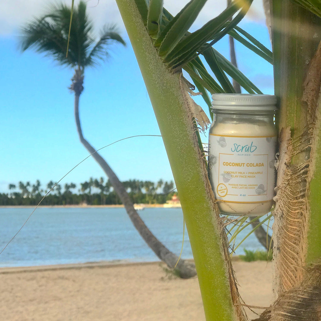 Coconut Colada [pineapple + coconut milk] Clay Facial Mask